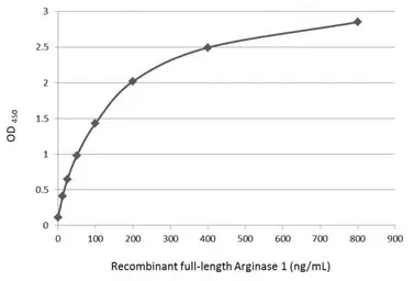 Arginase 1 ELISA Pair. GTX500038