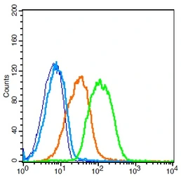 Anti-ADAM28 antibody used in Flow cytometry (FCM). GTX51662