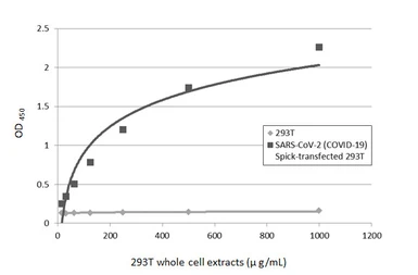 SARS-CoV-2 (COVID-19) Spike overexpression 293T whole cell lysate. GTX535664