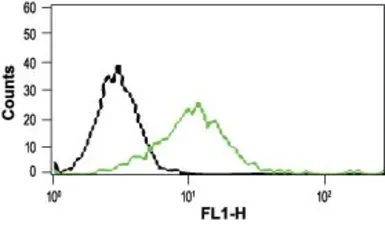 Anti-VRL1 antibody used in Flow cytometry (FACS). GTX54766