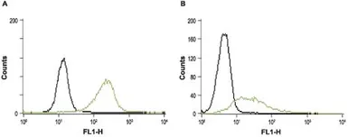 Anti-STIM1 antibody used in Flow cytometry (FACS). GTX54855