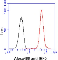 Anti-IRF5 antibody [10T1] used in Flow cytometry (FACS). GTX57552