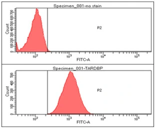 Anti-TDP43 antibody [k1B9] used in Flow cytometry (FACS). GTX57560