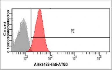 Anti-ATG3 antibody [AT15F6] used in Flow cytometry (FACS). GTX57724