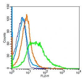 Anti-CD36 antibody used in Flow cytometry (FACS). GTX60300