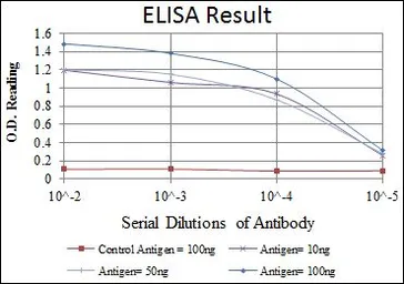 Anti-BPTF antibody [2F10] used in ELISA (ELISA). GTX60433