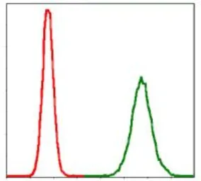 Anti-PPP2R4 antibody [4D9] used in Flow cytometry (FACS). GTX60539