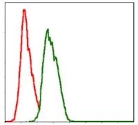 Anti-NEDD8 antibody [1A7] used in Flow cytometry (FCM). GTX60545