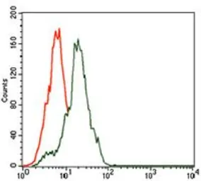 Anti-Somatostatin antibody [7G5] used in Flow cytometry (FACS). GTX60646