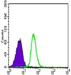 Anti-VE-Cadherin antibody [3D5C7] used in Flow cytometry (FACS). GTX60676