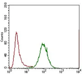 Anti-IL3 Receptor alpha antibody [8E11C5] used in Flow cytometry (FACS). GTX60786