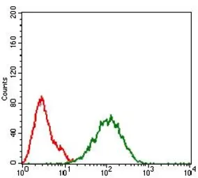 Anti-IL3 Receptor alpha antibody [10B8E7] used in Flow cytometry (FACS). GTX60797