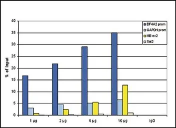 Anti-Histone H3K9K14ac (Acetyl Lys9/Lys14) antibody - ChIP grade used in ChIP assay (ChIP assay). GTX60822