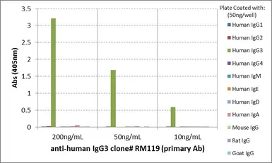 Rabbit Anti-Human IgG3 antibody [RM119]. GTX60864