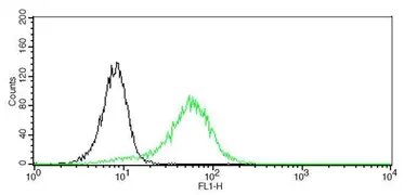 Anti-CD44 antibody [GT462] used in Flow cytometry (FACS). GTX628895