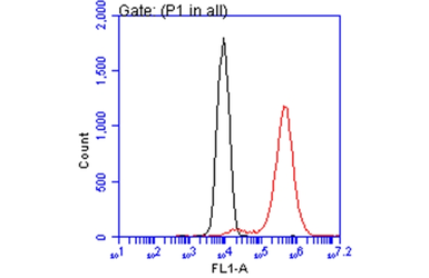 Anti-ATP6V1A antibody [GT3846] used in Flow cytometry (FACS). GTX633542