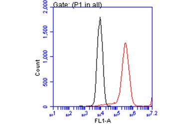 Anti-ATP6V1A antibody [GT811] used in Flow cytometry (FACS). GTX633543