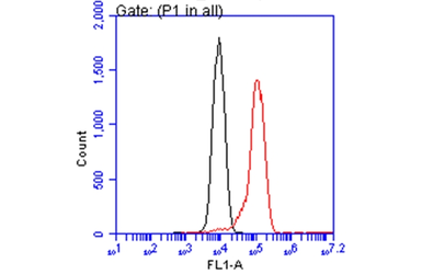 Anti-ATP6V1A antibody [GT1561] used in Flow cytometry (FACS). GTX633544