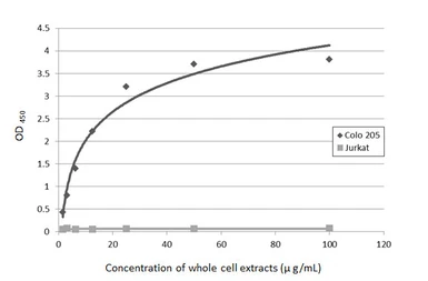 Anti-CA19-9 antibody [GT933] used in ELISA (ELISA). GTX635389