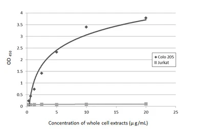 Anti-CA19-9 antibody [GT933] used in ELISA (ELISA). GTX635389