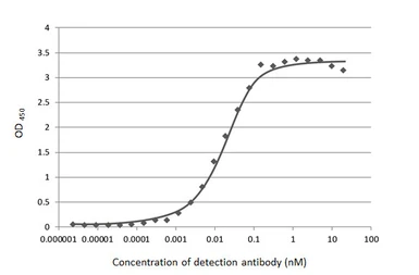 Anti-SARS-CoV-2 (COVID-19) Nucleocapsid antibody [HL249] used in ELISA (ELISA). GTX635678