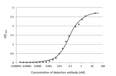 Anti-SARS-CoV-2 (COVID-19) Nucleocapsid antibody [HL344] used in ELISA (ELISA). GTX635679