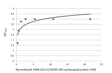 Anti-SARS-CoV-2 (COVID-19) Nucleocapsid antibody [HL344] used in ELISA (ELISA). GTX635679