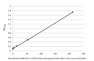 Anti-SARS-CoV-2 (COVID-19) Nucleocapsid antibody [HL5410] used in ELISA (ELISA). GTX635685