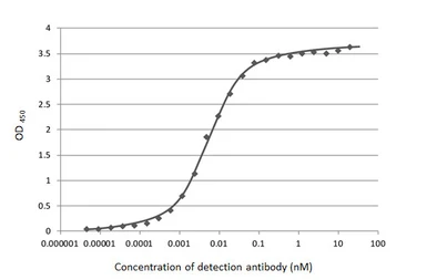 Anti-SARS-CoV-2 (COVID-19) Nucleocapsid antibody [HL455] used in ELISA (ELISA). GTX635688