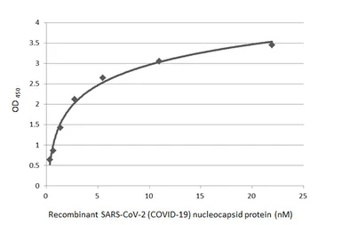 Anti-SARS-CoV-2 (COVID-19) Nucleocapsid antibody [HL455] used in ELISA (ELISA). GTX635688