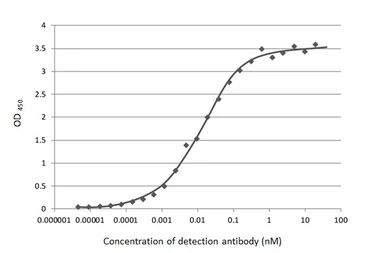 Anti-SARS-CoV-2 (COVID-19) Nucleocapsid antibody [HL5511] used in ELISA (ELISA). GTX635689