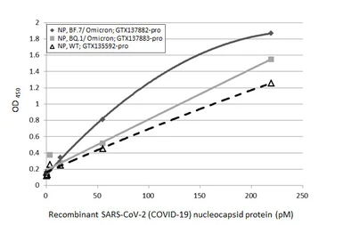 Anti-SARS-CoV-2 (COVID-19) Nucleocapsid antibody [HL5511] used in ELISA (ELISA). GTX635689