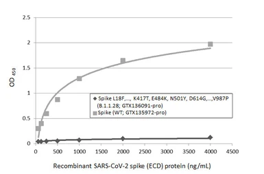 Anti-SARS-CoV-2 (COVID-19) Spike S2 antibody [HL237] used in ELISA (ELISA). GTX635693