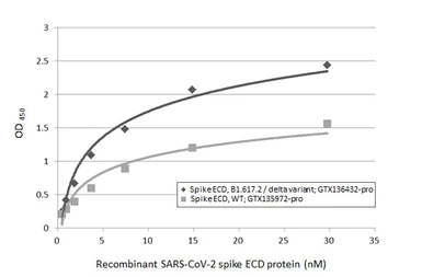 Anti-SARS-CoV-2 (COVID-19) Spike S2 antibody [HL237] used in ELISA (ELISA). GTX635693