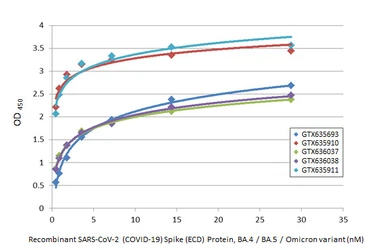 Anti-SARS-CoV-2 (COVID-19) Spike S2 antibody [HL237] used in ELISA (ELISA). GTX635693