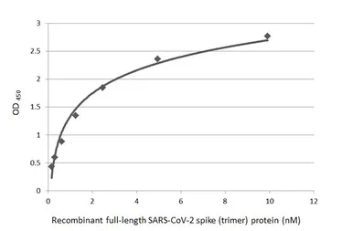 Anti-SARS-CoV-2 (COVID-19) Spike RBD antibody [HL1003] used in ELISA (ELISA). GTX635792