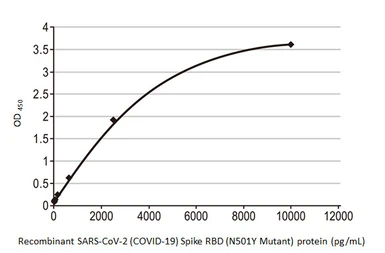 Anti-SARS-CoV-2 (COVID-19) Spike RBD antibody [HL1003] used in ELISA (ELISA). GTX635792