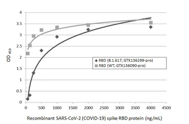 Anti-SARS-CoV-2 (COVID-19) Spike RBD antibody [HL1003] used in ELISA (ELISA). GTX635792