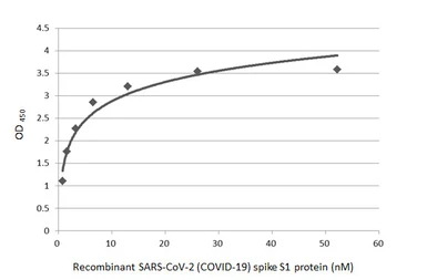 Anti-SARS-CoV-2 (COVID-19) Spike RBD antibody [HL1003] used in ELISA (ELISA). GTX635792