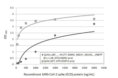 Anti-SARS-CoV-2 (COVID-19) Spike RBD antibody [HL1004] used in ELISA (ELISA). GTX635793