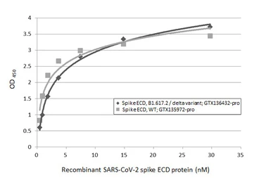 Anti-SARS-CoV-2 (COVID-19) Spike RBD antibody [HL1004] used in ELISA (ELISA). GTX635793