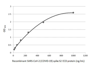 Anti-SARS-CoV-2 (COVID-19) Spike S2 / S2' antibody [HL1039] used in ELISA (ELISA). GTX635911