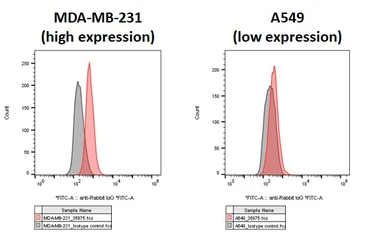 Anti-PD-L1 antibody [HL1041] used in Flow cytometry (FACS). GTX635975