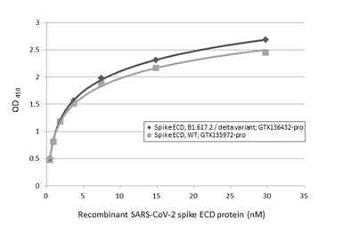 Anti-SARS-CoV-2 (COVID-19) Spike RBD antibody [GT5449] used in ELISA (ELISA). GTX636042