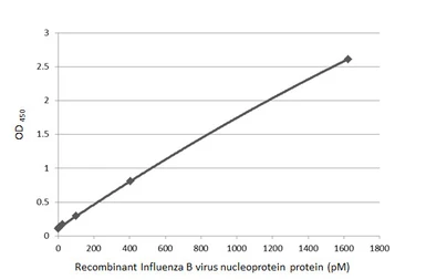 Anti-Influenza B virus Nucleoprotein antibody [HL1068] used in ELISA (ELISA). GTX636099