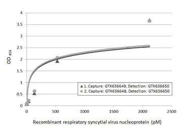 Anti-Respiratory Syncytial virus Nucleoprotein antibody [HL1246] used in ELISA (ELISA). GTX636648