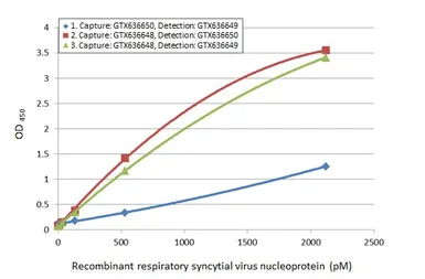 Anti-Respiratory Syncytial virus Nucleoprotein antibody [HL1246] used in ELISA (ELISA). GTX636648