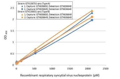 Anti-Respiratory Syncytial virus Nucleoprotein antibody [HL1247] used in ELISA (ELISA). GTX636649