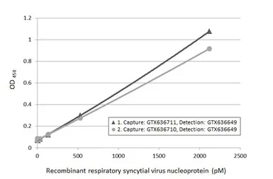 Anti-Respiratory Syncytial virus Nucleoprotein antibody [HL1296] used in ELISA (ELISA). GTX636710