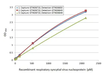 Anti-Respiratory Syncytial virus Nucleoprotein antibody [HL1296] used in ELISA (ELISA). GTX636710